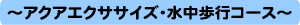�A�N�A�G�N�T�T�C�Y�E�������s�R�[�X