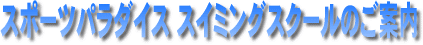 ����24�N�x�X�|�[�c�p���_�C�X�X�C�~���O�X�N�[���̂��ē�
