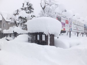 去年の今日