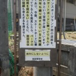 sunsp1
