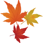 s512_autumn_a27_7