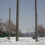 hp-6