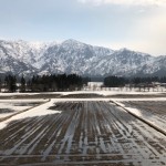 IMG_0351