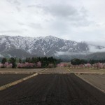 IMG_0365