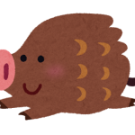 イノシシ