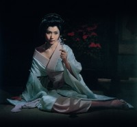 4.五瓣の椿
