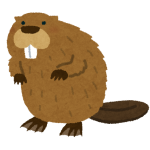 animal_beaver